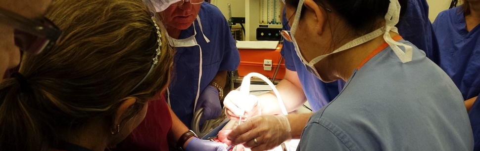 Medical Product Development